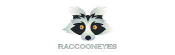 Raccoon Eyes Digital Marketing